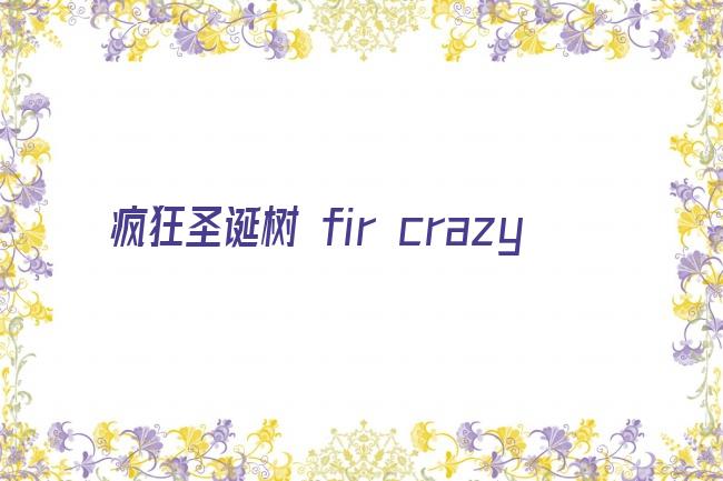 疯狂圣诞树 fir crazy剧照